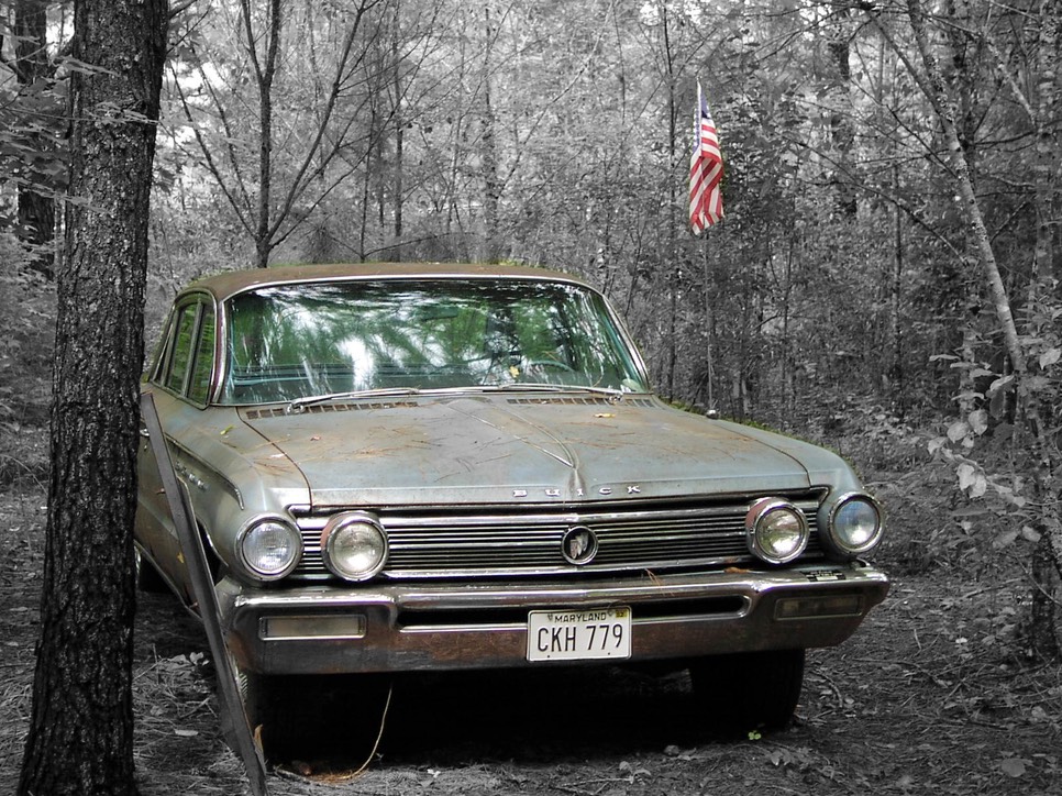 P8070044 colorized
