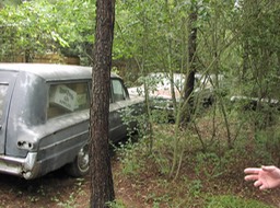 P8070045