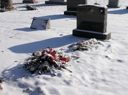 P1150042