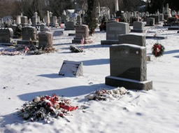 P1150043