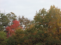 PA140007