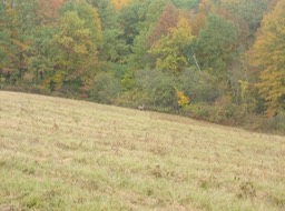 PA140013