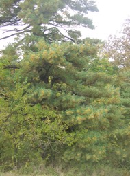 PA140021