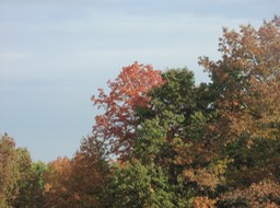 PA140024
