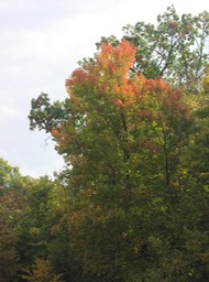 PA140025