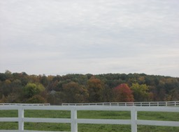 PA140032