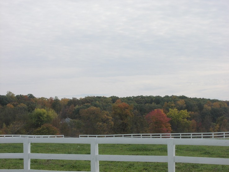 PA140032