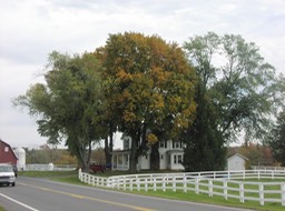PA140033