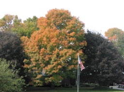 PA140035